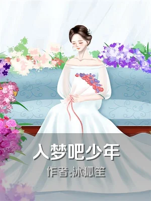 入梦吧少年