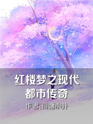 红楼梦之现代都市传奇