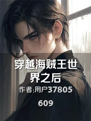 穿越海贼王世界之后