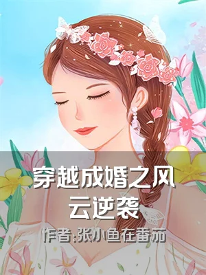 穿越成婚之风云逆袭