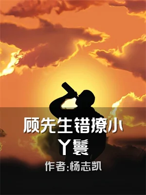 顾先生错撩小丫鬟