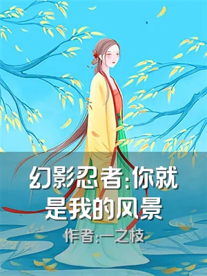 幻影忍者：你就是我的风景