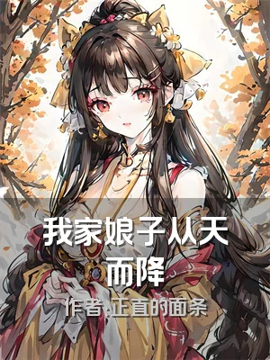 我家娘子从天而降
