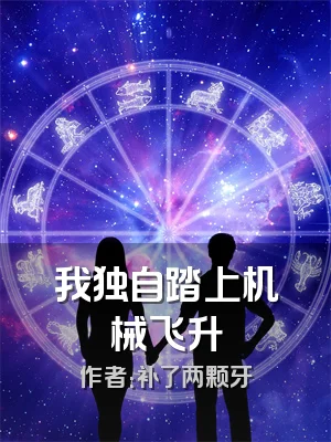 我独自踏上机械飞升