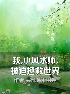 我，小风水师，被迫拯救世界