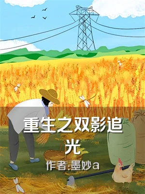 重生之双影追光