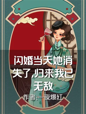 闪婚当天她消失了，归来我已无敌