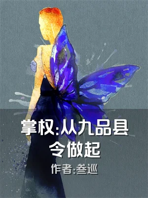 掌权：从九品县令做起