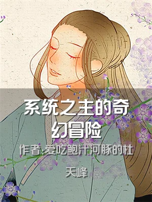 系统之主的奇幻冒险