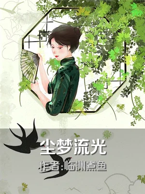 尘梦流光