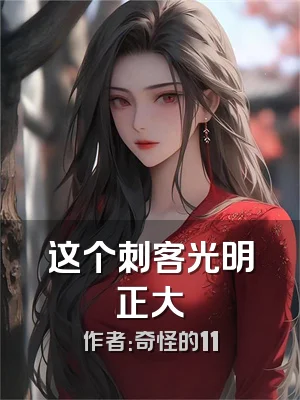 这个刺客光明正大