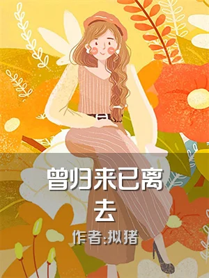 曾归来已离去