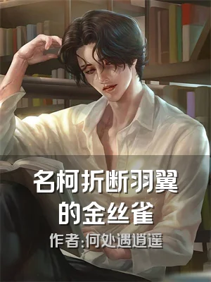 名柯折断羽翼的金丝雀