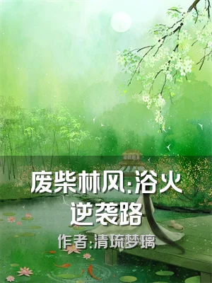 废柴林风：浴火逆袭路