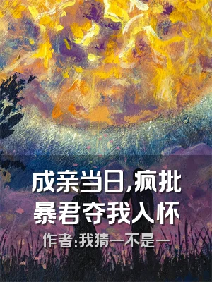 成亲当日，疯批暴君夺我入怀