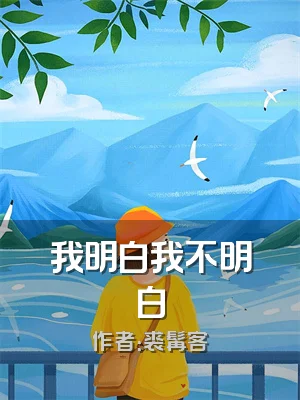 我明白我不明白