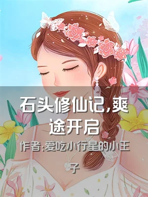 石头修仙记，爽途开启