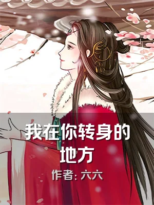 我在你转身的地方