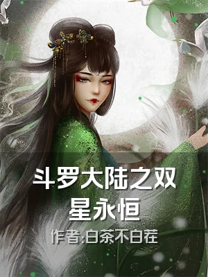 斗罗大陆之双星永恒