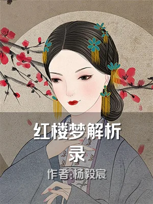 红楼梦解析录