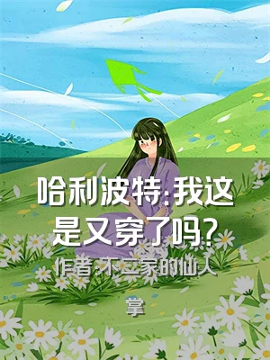 哈利波特：我这是又穿了吗？