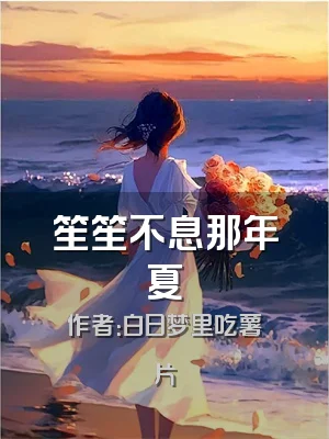 笙笙不息那年夏