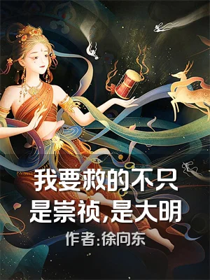 我要救的不只是崇祯，是大明