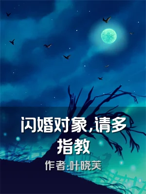 闪婚对象，请多指教