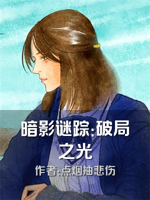 暗影谜踪：破局之光