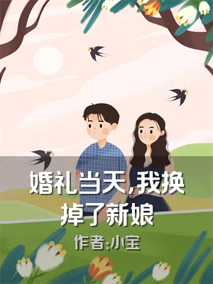 婚礼当天，我换掉了新娘