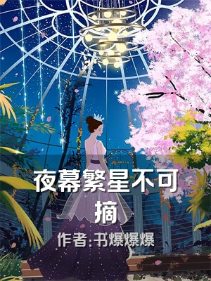 夜幕繁星不可摘