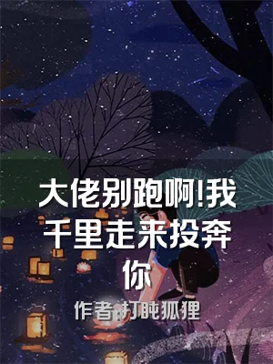 大佬别跑啊！我千里走来投奔你