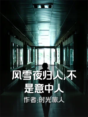 风雪夜归人，不是意中人