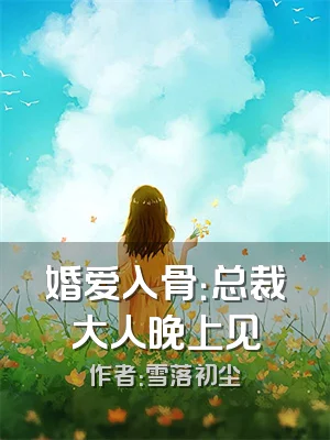 婚爱入骨：总裁大人晚上见