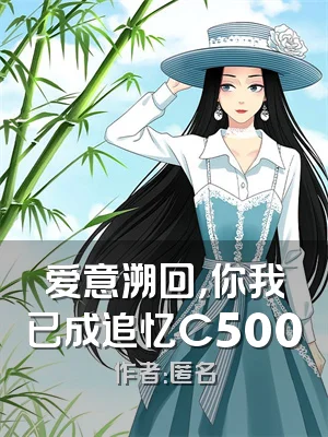 爱意溯回，你我已成追忆C500