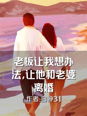 老板让我想办法，让他和老婆离婚