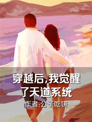 穿越后，我觉醒了天道系统