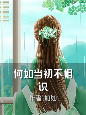何如当初不相识