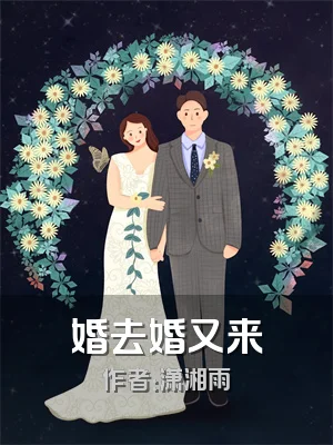 婚去婚又来