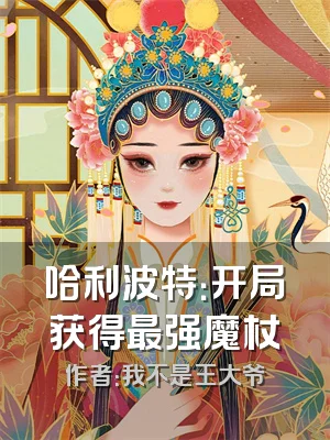 哈利波特：开局获得最强魔杖
