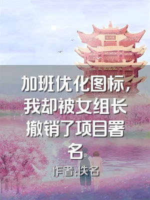 加班优化图标，我却被女组长撤销了项目署名