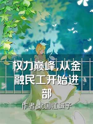 权力巅峰，从金融民工开始进部