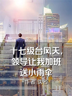 十七级台风天，领导让我加班送小雨伞