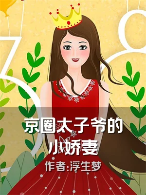 京圈太子爷的小娇妻