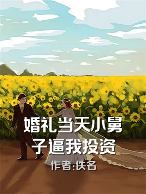 婚礼当天小舅子逼我投资