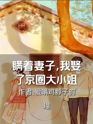 瞒着妻子，我娶了京圈大小姐