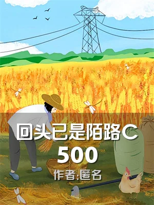 回头已是陌路C500