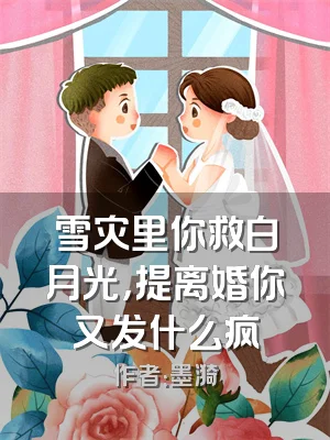 雪灾里你救白月光，提离婚你又发什么疯