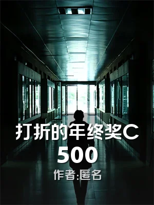 打折的年终奖C500