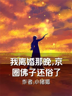 我离婚那晚，京圈佛子还俗了